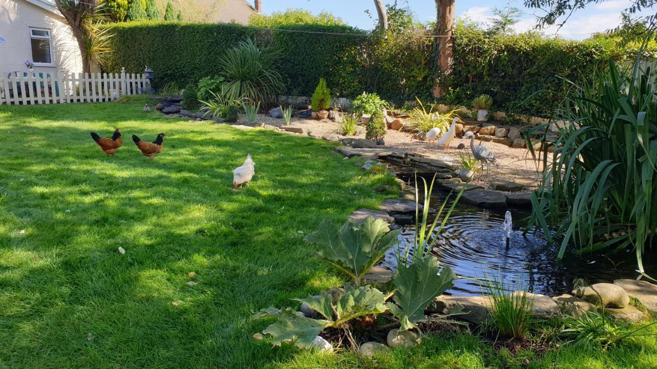 The Duck House Διαμέρισμα Σουόνσι Εξωτερικό φωτογραφία