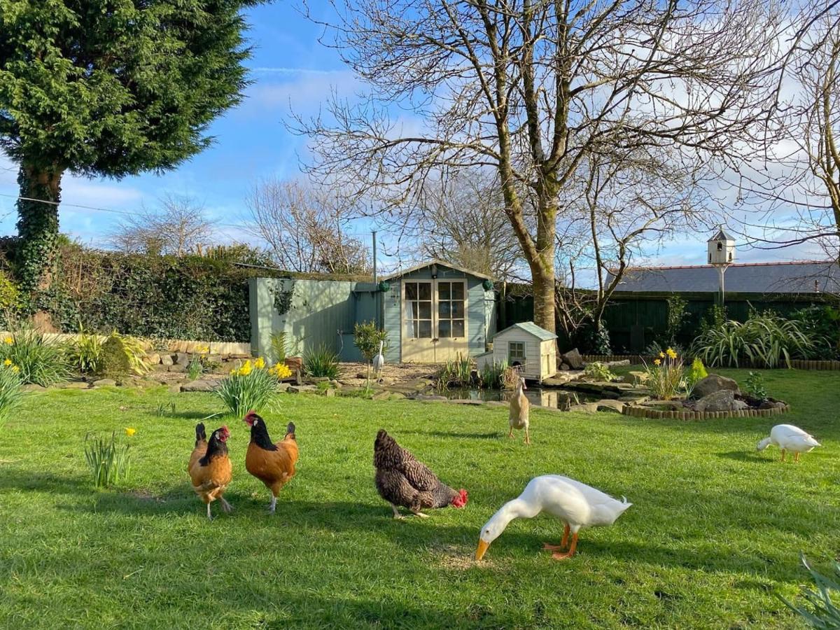 The Duck House Διαμέρισμα Σουόνσι Εξωτερικό φωτογραφία